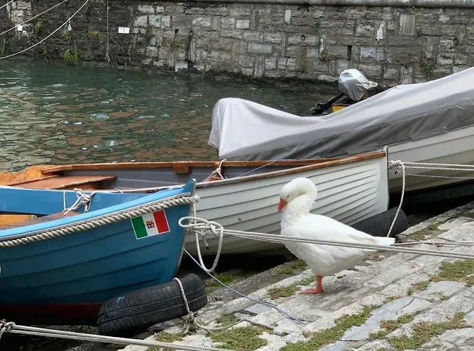 The View Апартаменты